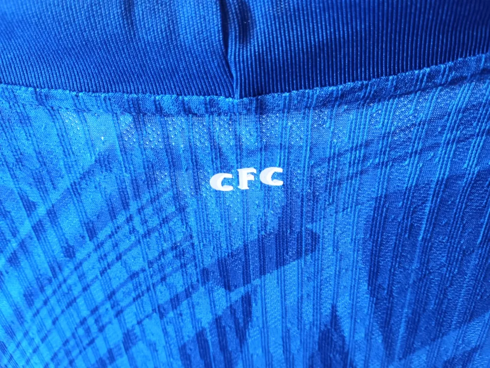 Vista de Chelsea titular